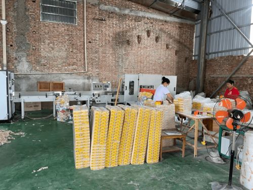 农村办卫生纸加工厂 市场前景与个人卫生用品销售策略探析