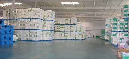 辽宁雨森 年产16万吨生活用纸，深耕个人卫生用品领域